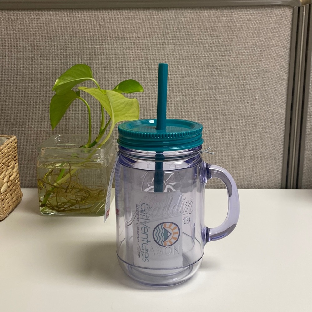 Aladdin classic insulated mason tumbler